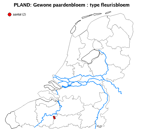 fleurisbloem